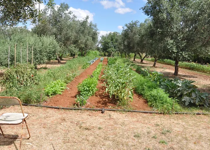 Casa Giada 4* ガリポリ