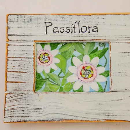 Casa Giada 4* גאליפולי