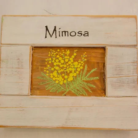 Casa Giada לינה וארוחת בוקר גאליפולי