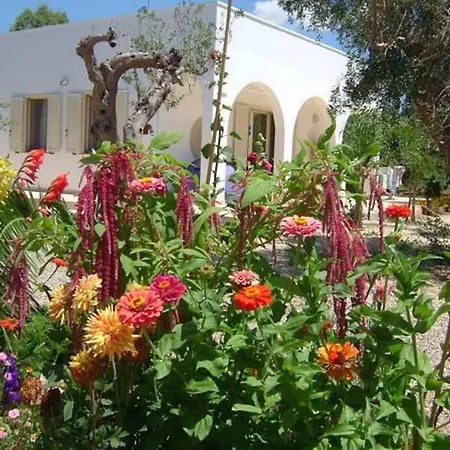 Casa Giada Oda ve Kahvaltı Gallipoli