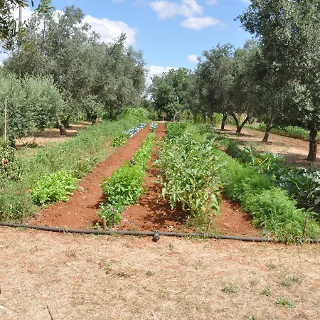 Casa Giada 4* Gallipoli